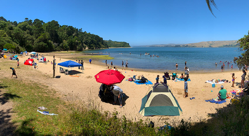 Tomales Bay State Park, California, USA